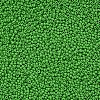 12/0 FGB Grade A Round Glass Seed Beads SEED-N001-A-1027-2