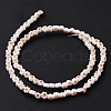 Handmade Millefiori Glass Bead Strands LAMP-J035-4mm-73-3