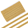 Polyester Lace Trim OCOR-WH0109-356C-1