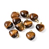 Natural Tiger Eye Pendants G-I311-A07-G-3
