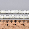 Natural Trochid Shell/Trochus Shell Beads Strands SSHEL-N041-04B-01-4