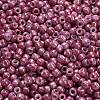 TOHO 6/0 Round Beads X-SEED-TR06-1202-4