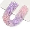 Transparent Painted Glass Beads Strands DGLA-A034-T1mm-A05-1