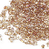 Plated Glass Seed Beads SEED-S016-01-3