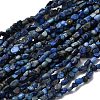 Natural Lapis Lazuli Beads Strands G-I389-A05-2