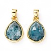 Natural Apatite Charms G-L553-47G-2