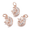 Brass Micro Pave Cubic Zirconia Charms ZIRC-F111-20-2