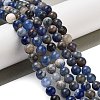 Natural Sodalite Beads Strands GSR6mmC013-1-2