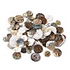 Natural Shell Buttons BUTT-XCP0001-16-1