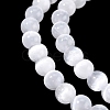 Natural Selenite Beads Strands G-N328-025B-02-4