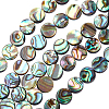 Natural Abalone Shell/Paua Shell Beads SSHEL-BC0001-09-1