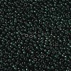 MIYUKI Round Rocailles Beads SEED-G008-RR0156-2
