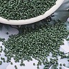 MIYUKI Delica Beads X-SEED-J020-DB2312-1