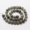 Natural Labradorite Bead Strands G-O155-05B-10mm-2