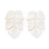 Natural Freshwater Shell Beads SHEL-S276-156-2