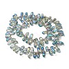 Electroplate Glass Beads Strands EGLA-B006-01A-FR06-2