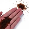 15/0 Transparent Czech Glass Seed Beads SEED-N004-004-18-5