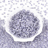 Transparent Inside Colours Glass Seed Beads SEED-T007-13H-1