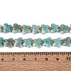 Natural Amazonite Beads Strands G-N371-10A-06-5
