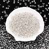 6/0 Baking Paint Transparent Fringe Glass Seed Beads SEED-N006-06A-3