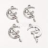 Zinc Alloy Fairy Sprite Charms PALLOY-A18526-AS-FF-1