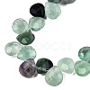 Natural Purple Fluorite Gemstone Beads Strands G-T006-04-2
