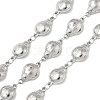 304 Stainless Steel Insects Link Chains CHS-U004-01B-P-1