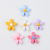 Resin Cabochons RESI-R429-01B-2
