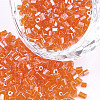 FGB Grade A Glass Seed Beads SEED-S022-03C-1