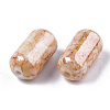 Spray Painted Acrylic Beads ACRP-N002-15-2
