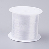Fishing Thread Nylon Wire NWIR-G015-0.25mm-01-1