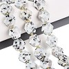 Natural Sesame Jasper Beads Strands G-N368-01A-19-1