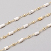 3.28 Feet Handmade Natural Howlite Beaded Chains X-CHC-E021-01G-1