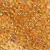 6/0 Transparent Glass Round Seed Beads SEED-J010-F6-22B-2