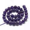 Natural Amethyst Beads Strands G-R446-8mm-21-2