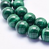 Natural Malachite Beads Strands G-O166-06-10mm-3