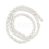 Electroplated Shell Pearl Beads Strands BSHE-Z009-10A-3