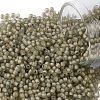 TOHO Round Seed Beads SEED-JPTR11-0369FM-1