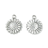 Non-Tarnish 304 Stainless Steel Charms LS-STAS-L269-062P-1