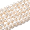 Natural Cultured Freshwater Pearl Beads Strands PEAR-E017-23-1