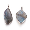 Natural Labradorite Pendants KK-P180-B-P-2