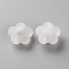 Transparent Acrylic Beads LS-TACR-S152-09C-06-2