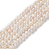 Natural Cultured Freshwater Pearl Beads Strands PEAR-E018-62-1