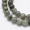 Natural Labradorite Beads Strands G-P322-29-8mm-3