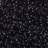 Transparent Colours Glass Seed Beads X1-SEED-P006-02A-12-3