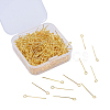Iron Eye Pin IFIN-YW0001-10G-1