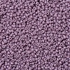 MIYUKI Round Rocailles Beads X-SEED-G007-RR2024-3