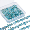 SUNNYCLUE 2 Strands Natural Apatite Chip Beads Strands G-SC0002-52-1