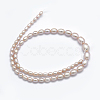 Natural Cultured Freshwater PearlBeads Strands PEAR-K003-21B-2