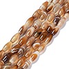 Natural Banded Agate Beads Strands G-G0001-D01-1